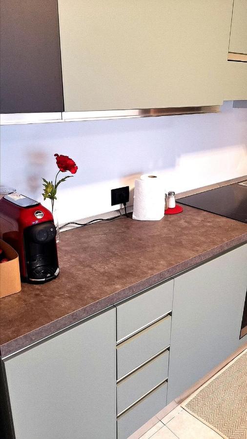 Rosolina Apartment Εξωτερικό φωτογραφία